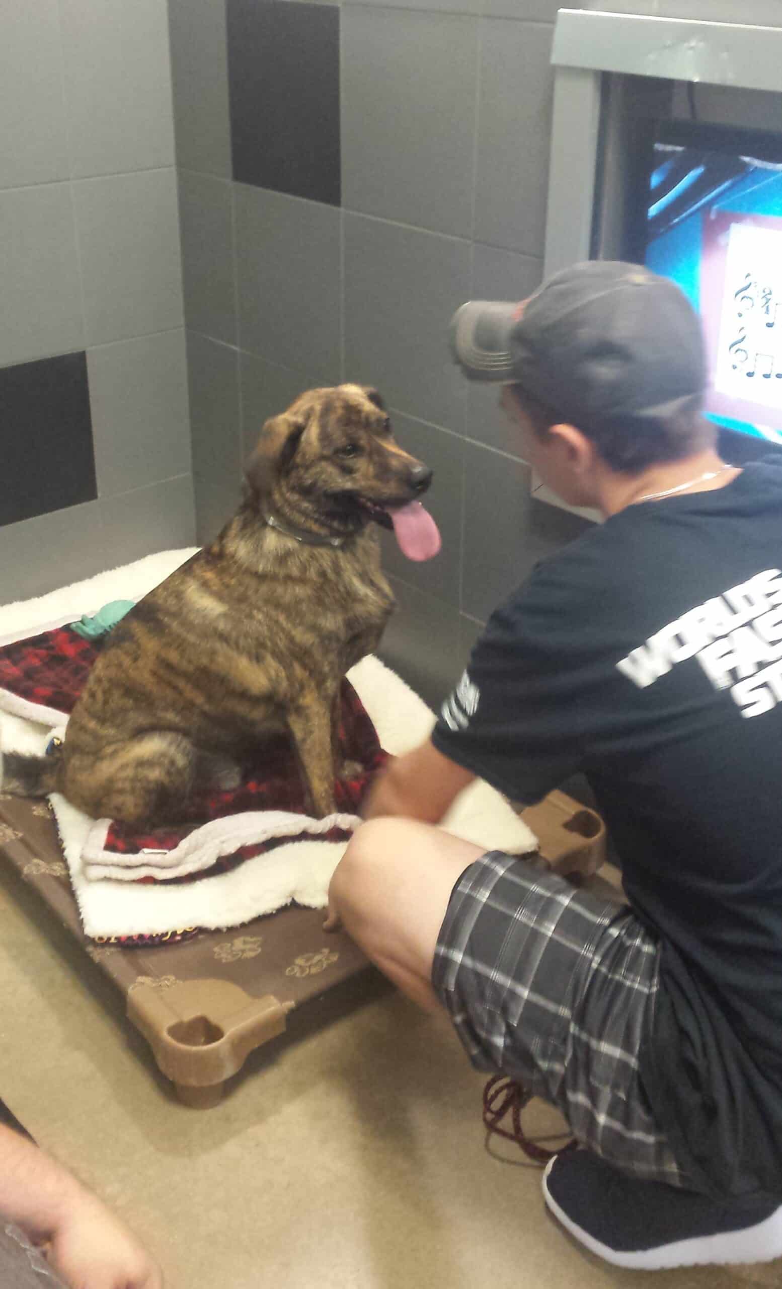 Best Friends Pet Hotel in Walt Disney World WDWBLOGGERS