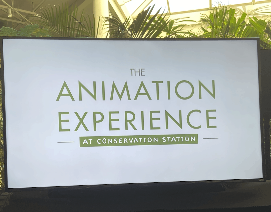 Animation-Experience-Crop