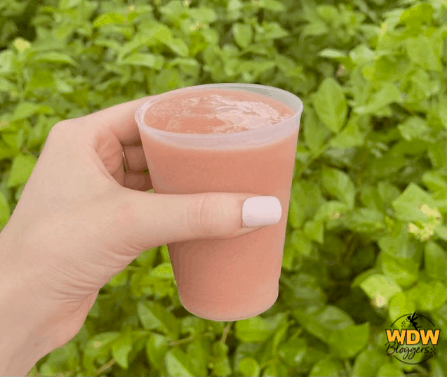 The-Donut-Box-Strawberry-Smoothie-at-Epcot-Food-and-Wine-Festival